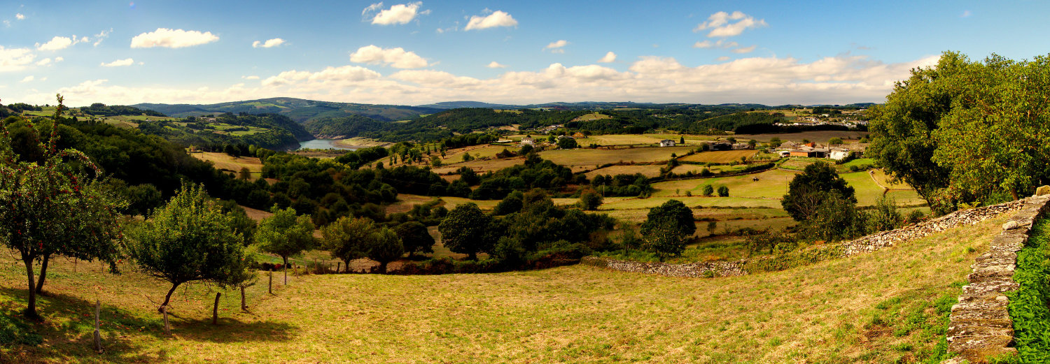 The Camino de Santiago